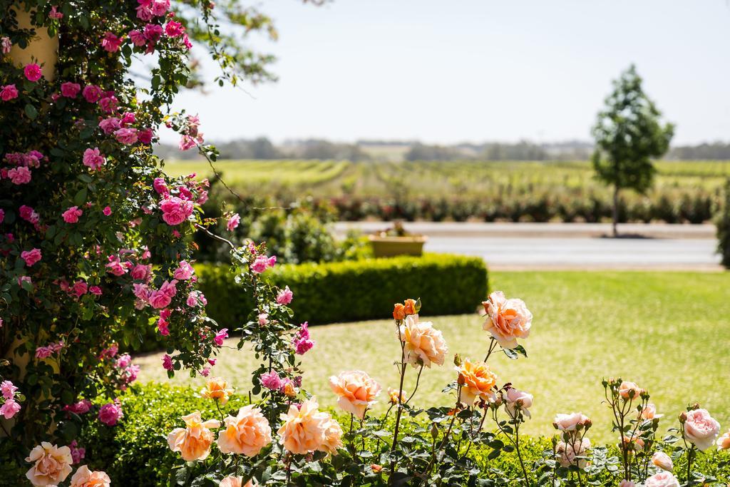 Barossa House Bed & Breakfast Тананда Екстериор снимка