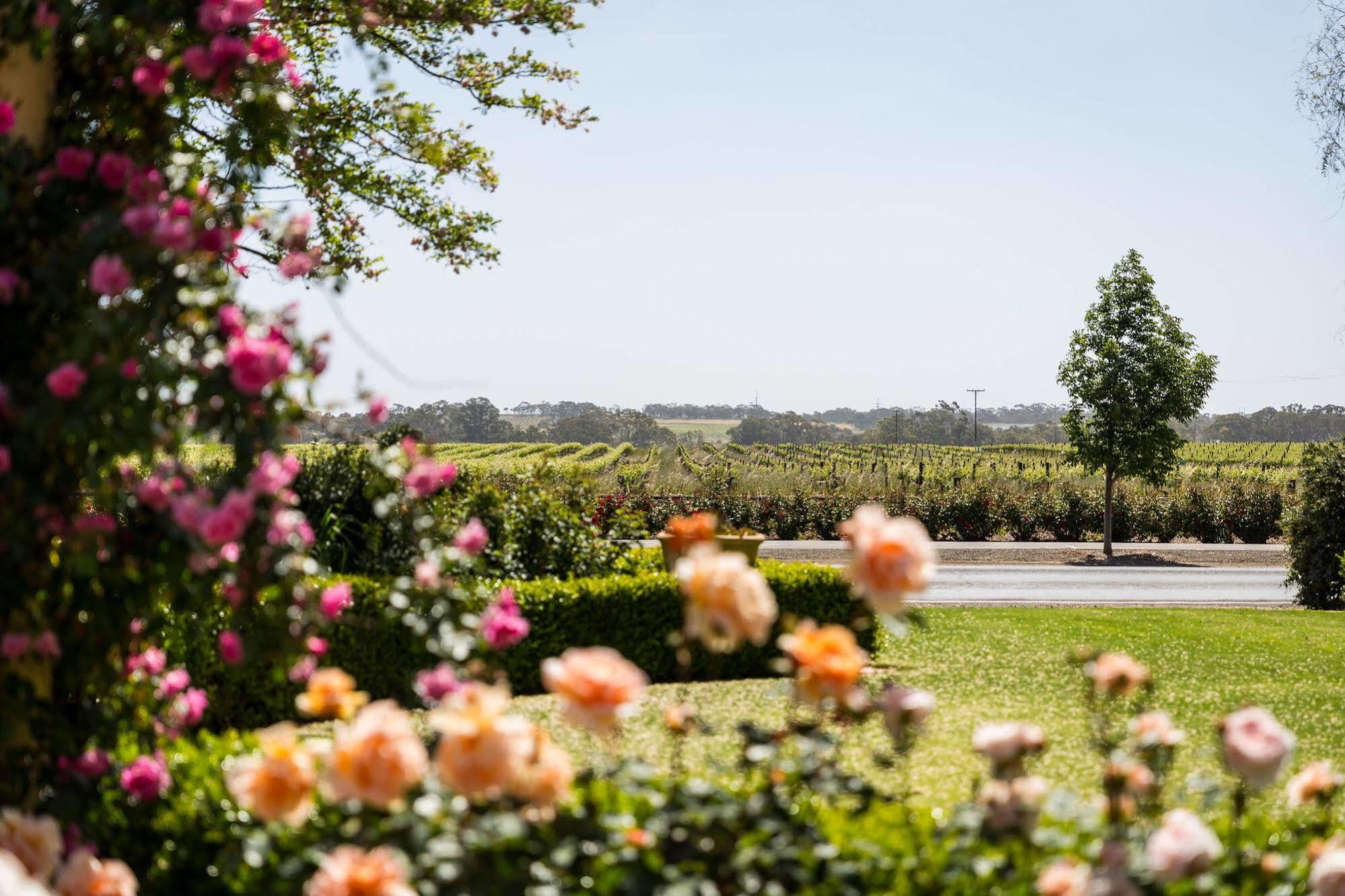 Barossa House Bed & Breakfast Тананда Екстериор снимка